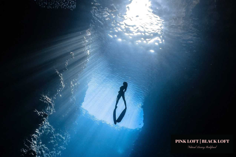 Black Collection N°25: Oceana