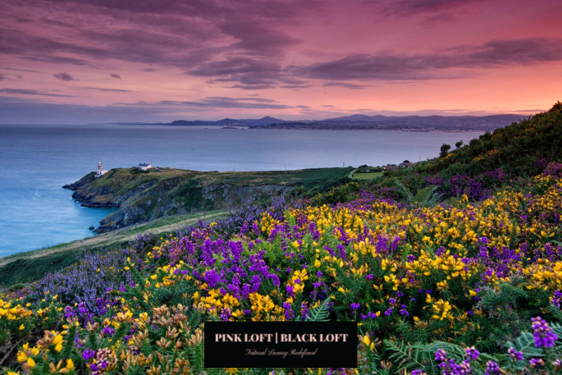 Black Collection N°15:  Irish Meadow